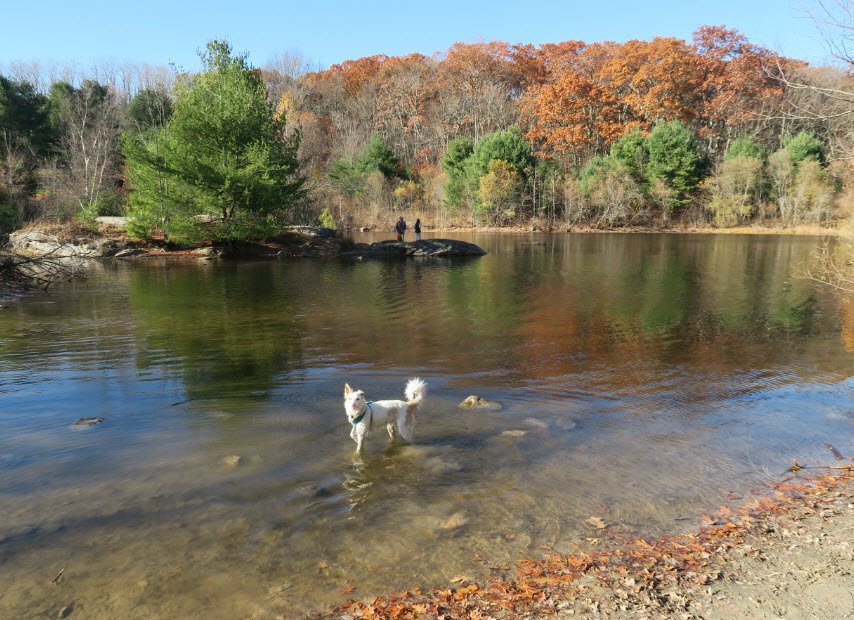 Callahan State Park, Massachusetts, USA